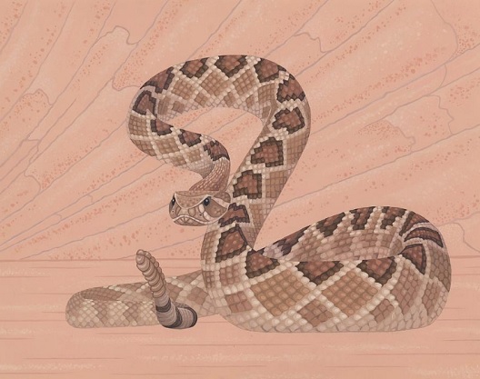 На змијата да ѝ црташ нозе